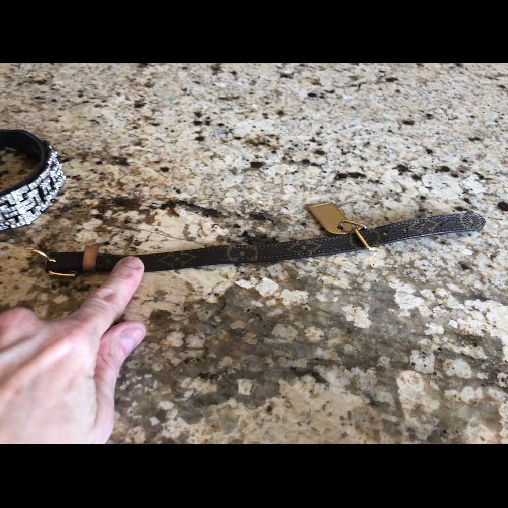 LV dog collar